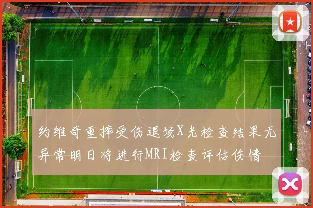 约维奇重摔受伤退场X光检查结果无异常明日将进行MRI检查评估伤情