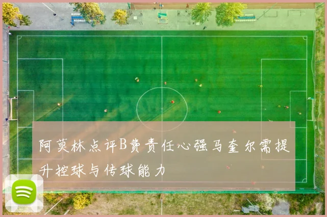 阿莫林点评B费责任心强马奎尔需提升控球与传球能力