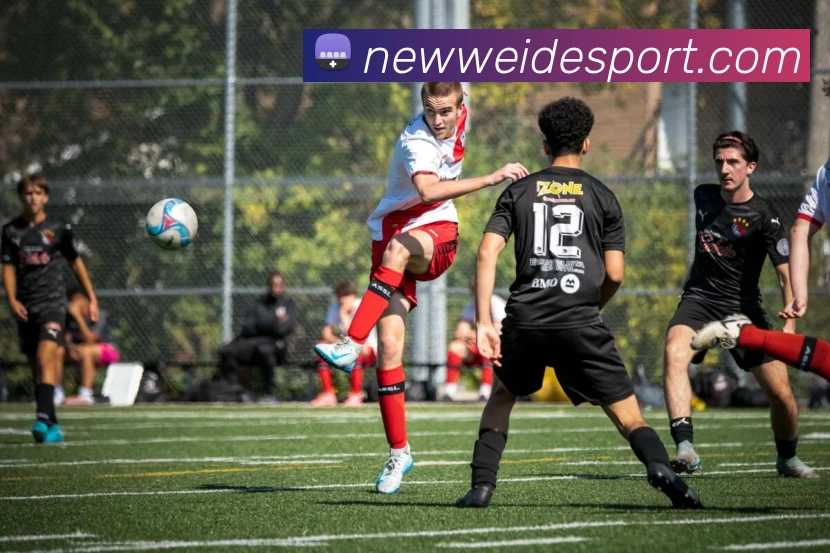 伟德体育APP 体育赛事宣传图